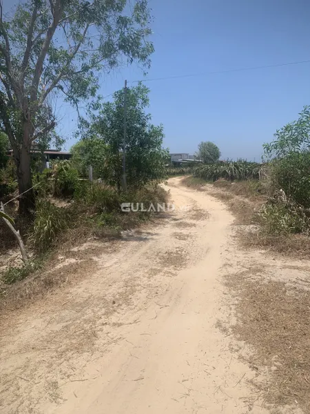 Bán 1 sào đất nông nghiệp gần dân cư