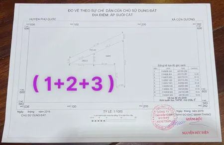 Bán  đất thương mại dịch vụ 6000m² , giá 24 tỷ tại, Xã Cửa Dương, Thành phố Phú Quốc, Kiên Giang