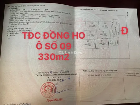 TĐC ĐỒNG HO - XÃ SƠN DƯƠNG