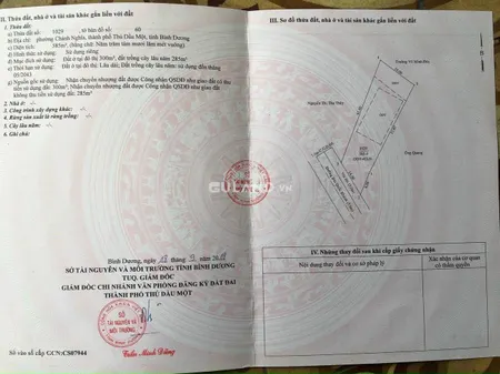 Bán đất mặt tiền đường Bùi Quốc Khánh, phường Chánh Nghĩa, TP. Thủ Dầu Một