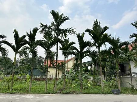 Sau trường cấp 2 Tiền An bán nhanh ô đất 300m có thể mua 100-200m tùy ý