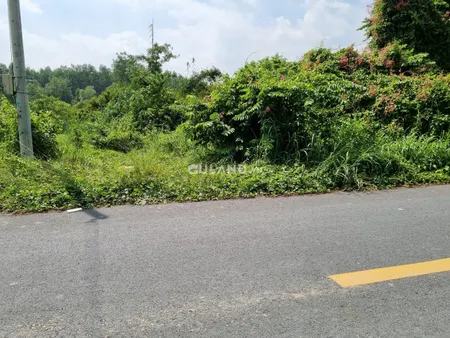 (S197) Đất mặt tiền đường Bến Đình, xã An Nhơn Tây, dt 211m2, full thổ cư, chỉ 1 tỷ 280