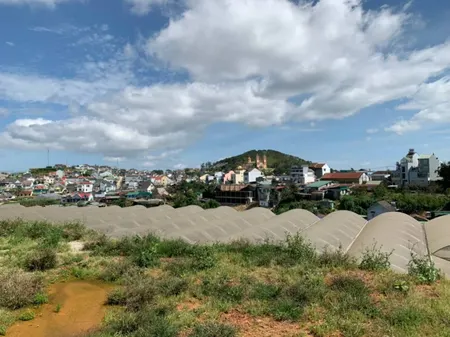 Bán  đất thổ cư 502m² , giá 13 tỷ tại đường Tự Phước, Phường 11, Thành phố Đà Lạt, Lâm Đồng