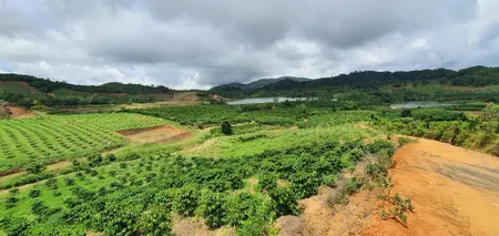 Bán  đất nông nghiệp 100000m² , giá 27 tỷ tại, Xã Đà Loan, Huyện Đức Trọng, Lâm Đồng