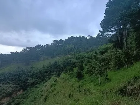 Bán  đất nông nghiệp 30000m² , giá 1 tỷ tại, Xã Đà Loan, Huyện Đức Trọng, Lâm Đồng