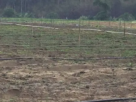 Bán  đất nông nghiệp 45000m² , giá 10 tỷ tại, Xã Ninh Loan, Huyện Đức Trọng, Lâm Đồng