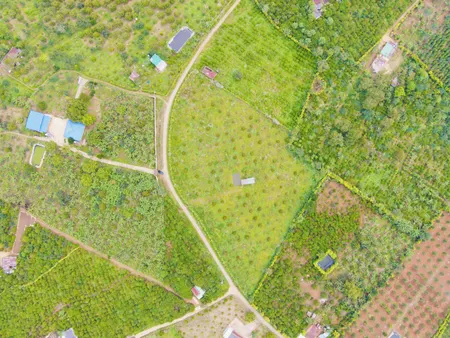 Bán khu đất 9886m2 tại Hòa Trung, Di Linh có thể tách 36 lô nhỏ