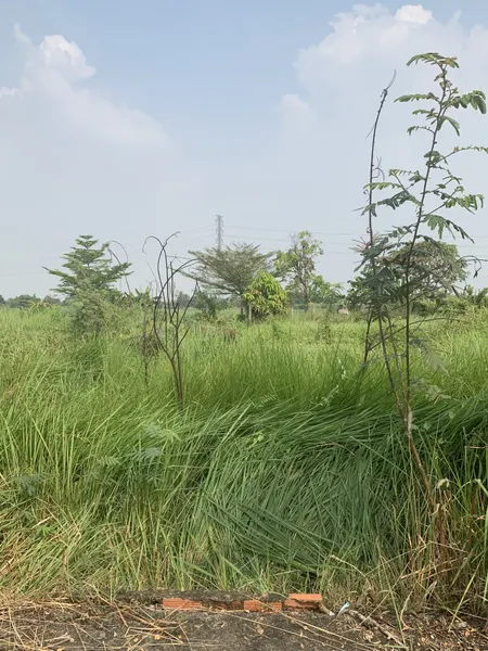 Bán đất chính chủ