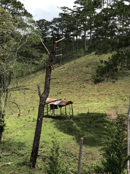 Cơ hội đầu tư homestay tại Păng Tiên hai bên hai suối