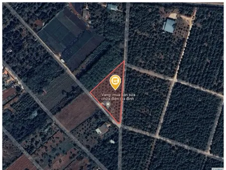 Bán đất 4371.3m² 17 tỷ tại Phường Tân Lập Thành phố Buôn Ma Thuột