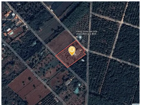 Bán đất 4541.2m² 25 tỷ tại Phường Tân Lập Thành phố Buôn Ma Thuột