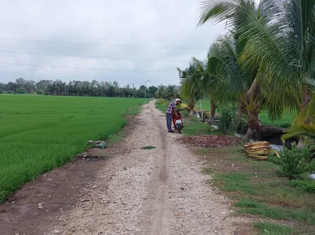 Bán đất 2000m² 200 triệu tại Xã Vĩnh Châu Thành phố Châu Đốc