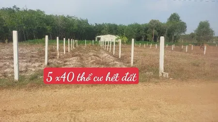 Bán đất 171.3m² 330 triệu tại Xã Suối Đá Huyện Dương Minh Châu