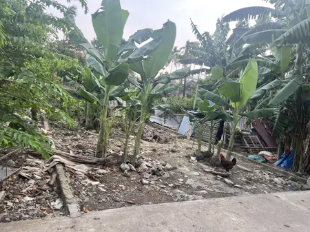bán lô đất 61,6m2 , 1,2x tỷ, xã Hoa Động, Thủy Nguyên, liên hệ 0362558882