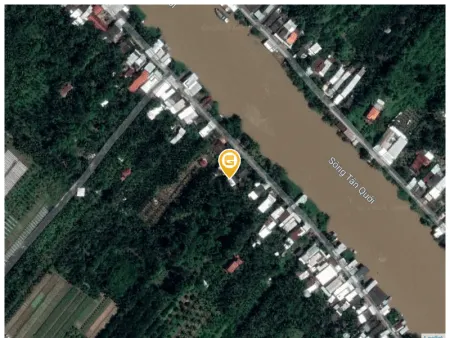 Bán đất 50000m² tại Xã Tân Quới Huyện Bình Tân