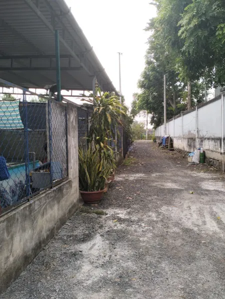 Bán đất nhà cấp 4 Đường Huỳnh thị Mài .xã tân Hiệp : 15 x36 sát trường học