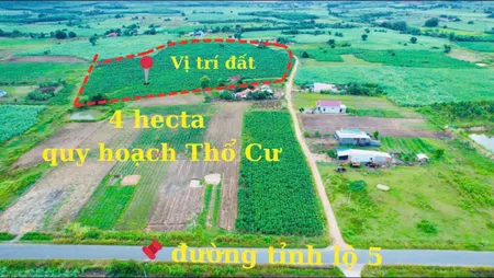 Bán đất 10000m² ngang 61m giá 3.9 tỷ tại Xã Ninh Xuân Thị xã Ninh Hòa