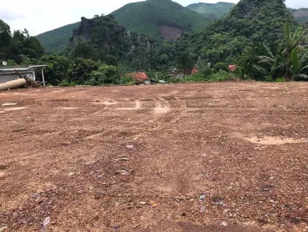 ĐẤT THÔN CÂY THỊ - XÃ SƠN DƯƠNG