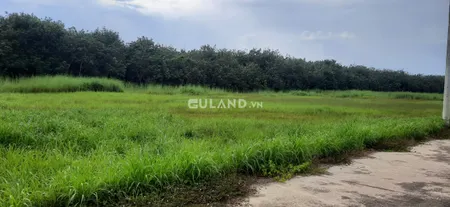 Bán  đất thổ cư 340m² , giá 1.5 tỷ tại đường Tỉnh lộ 750, Xã Trừ Văn Thố, Huyện Bàu Bàng, Bình Dương