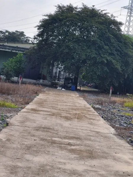 (S440)  (Đã bán ) Đất gần Sông Lu và Nguyễn Thị Hồng, xã Trung An, DT 1000m2, thổ 300m2, chỉ 2 tỷ 500