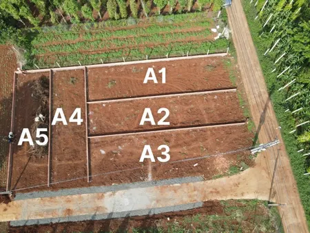 Bán đất 124.8m² ngang 5m giá 975 triệu tại Xã Hòa Thuận Thành phố Buôn Ma Thuột
