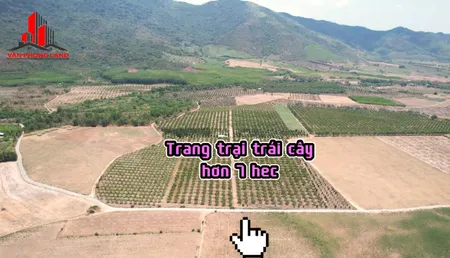 7 hec ta đã trồng cây đầy đủ điện nước  ms 469