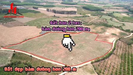 2 hec 2.5 tỷ đã trồng cây sẵn 469
