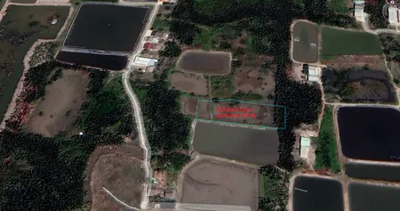 Bán đất 1805m² 1.53 tỷ tại Xã Hiệp Phước Huyện Nhà Bè