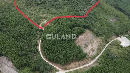Bán  đất nông nghiệp 80000m² , giá 15.2 tỷ tại, Xã Ninh Tân, Thị xã Ninh Hòa, Khánh Hòa