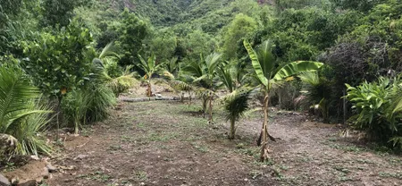 Bán đất 1000m² ngang 10m giá 10 tỷ tại Xã Vĩnh Trung Thành phố Nha Trang