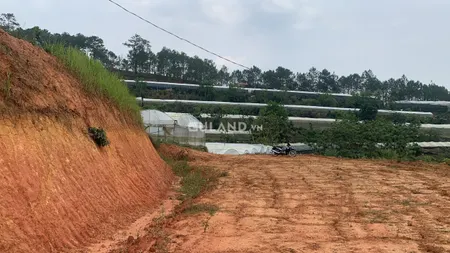 Bán  đất nông nghiệp 831m² , giá 3.2 tỷ tại, Xã Xuân Thọ, Thành phố Đà Lạt, Lâm Đồng