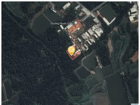 Bán đất 806.7m² 1.6 tỷ tại Xã Long Hậu Huyện Cần Giuộc