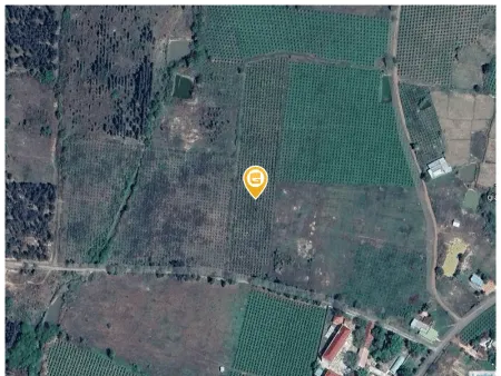 Bán đất 2500m² tại Xã Hàm Cần Huyện Hàm Thuận Nam