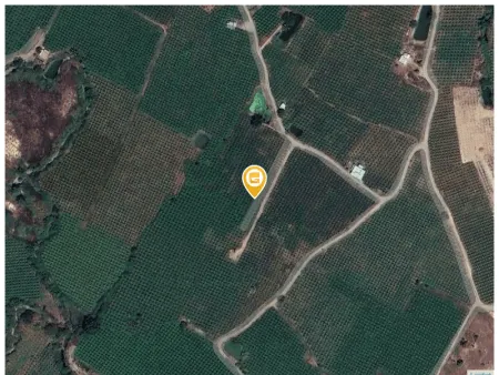 Bán đất 21000m² 4.5 tỷ tại Xã Hàm Thạnh Huyện Hàm Thuận Nam