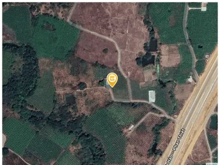 Bán đất 20000m² tại Xã Hàm Thạnh Huyện Hàm Thuận Nam