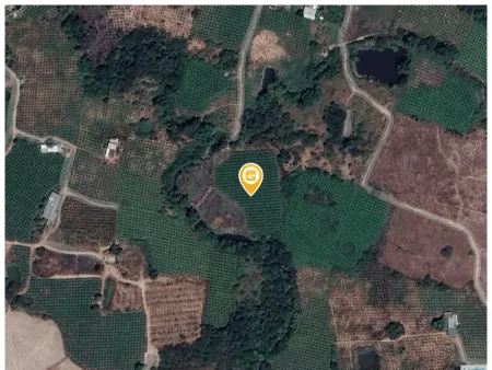 Bán đất 6000m² 1.8 tỷ tại Xã Hàm Thạnh Huyện Hàm Thuận Nam