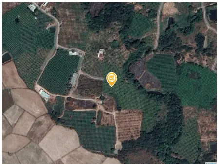 Bán đất 8200m² 1.1 tỷ tại Xã Hàm Thạnh Huyện Hàm Thuận Nam