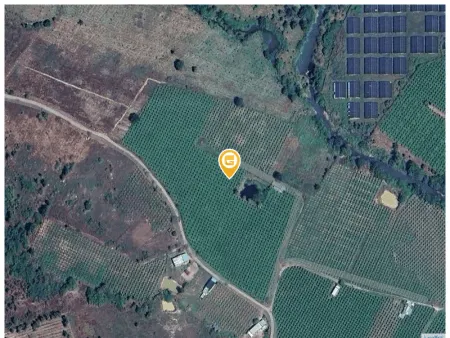 Bán đất 27000m² 4.3 tỷ tại Xã Hàm Cần Huyện Hàm Thuận Nam