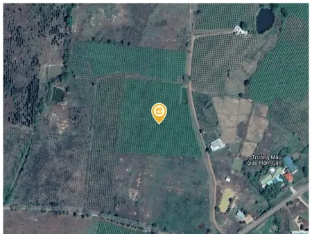 Bán đất 13000m² 3.9 tỷ tại Xã Hàm Cần Huyện Hàm Thuận Nam