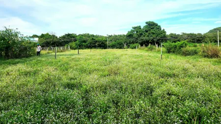 Bán đất khu dân cư 1ha/790trieu