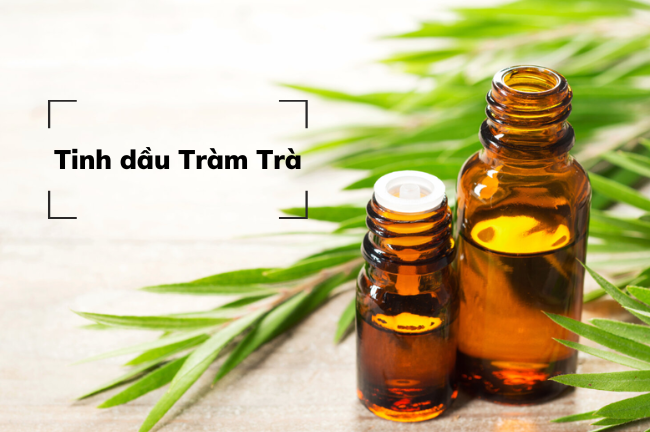 Melaleuca Alternifolia (Tea Tree Oil) - Tinh chất Tràm Trà Terpinen-4-ol là một hợp chất tự nhiên có trong tràm trà và có tác dụng kháng khuẩn và kháng viêm. Nó có thể ngăn chặn sự phát triển của nhiều loại vi khuẩn gây mụn, bao gồm cả Propionibacterium acnes - một trong những loại vi khuẩn phổ biến nhất trong các trường hợp mụn trứng cá.  Ngoài ra, terpinen-4-ol còn có khả năng giảm sưng viêm do mụn bằng cách làm giảm sự sản xuất của các chất gây viêm trong cơ thể. Vì vậy, sử dụng tràm trà có chứa terpinen-4-ol có thể giúp làm giảm tình trạng mụn trứng cá và các vấn đề da liễu liên quan đến mụn.