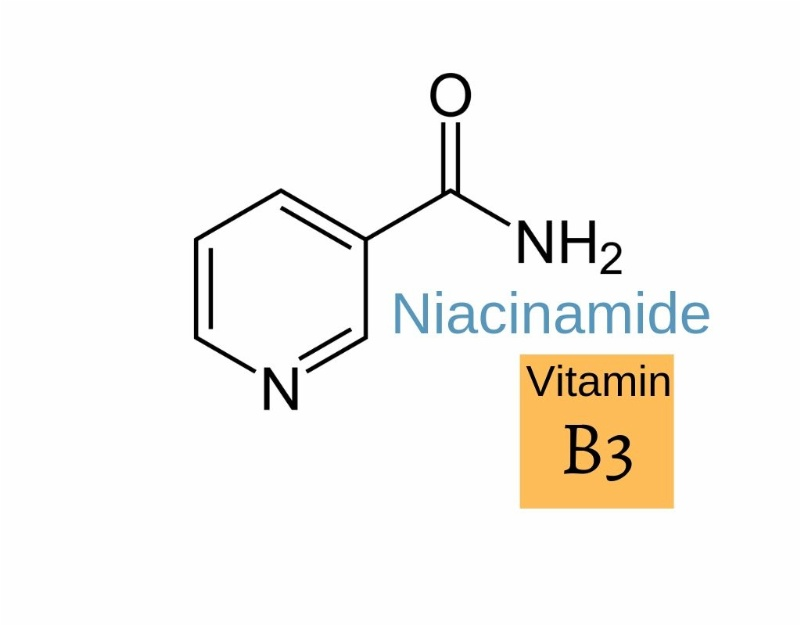 thành phần Niacinamide - skinze