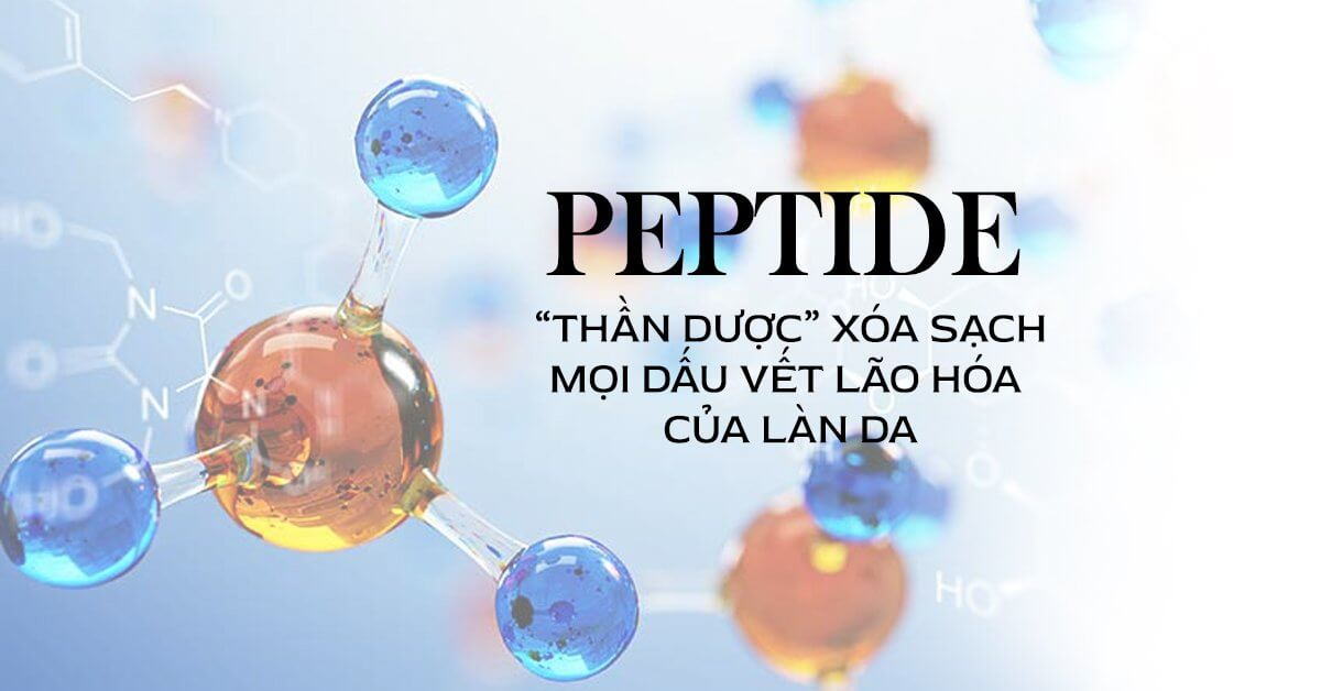  thành phần Peptide - skinze